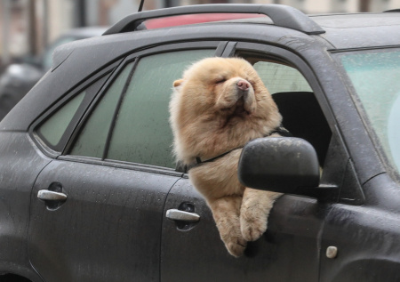 Эксперт назвал нестандартный способ снизить расходы при поездках на авто