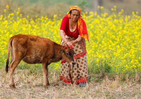 Россияне обновили рекорд путешествий в одну страну