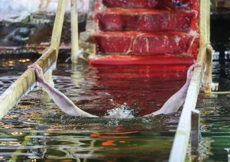 Украинцы не послушались властей и начали праздновать Крещение