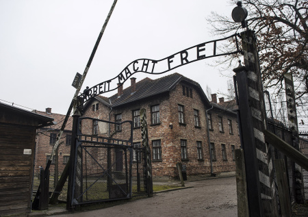 Врач лишился работы из-за шутки о похудении в Освенциме