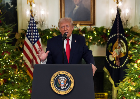 Трамп двумя словами описал беседу с генсеком НАТО по Гренландии