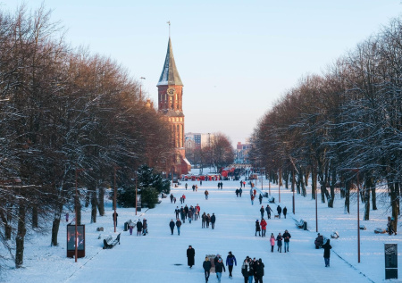 «Непоправимый урон»: раскрыто, как Калининград ответит на возможную блокаду