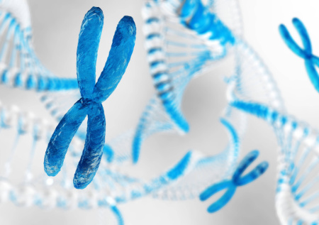 В сперматозоидах нашли скрытую угрозу для потомства пожилых мужчин