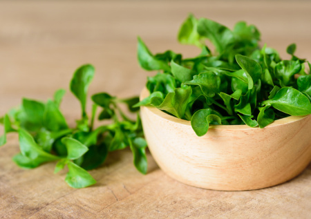 Назван самый полезный продукт на планете