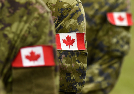 «Впервые за 100 лет»: Канада готовится к партизанской войне с США