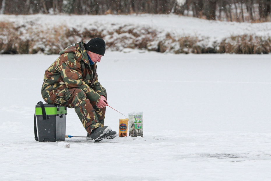 Когда все сидят без рыбы: как балансир приносит окуня и судака в глухозимье