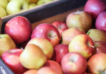 Нутрициолог перечислила незаменимые фрукты в рационе в период холодов