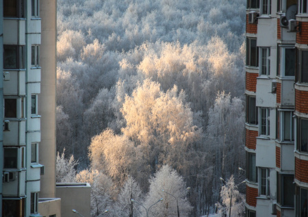 Синоптик раскрыл, как долго в Москве продержатся сильные морозы