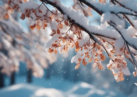 Приметы 23 января — Григорий-летоуказатель: предсказание погоды на полгода