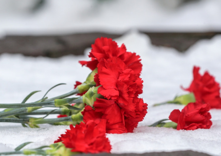 В Сыктывкаре простятся с 19-летней погибшей при взрыве в учебном центре МВД