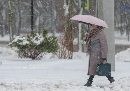Депутат ответил, кто вправе досрочно уйти на пенсию