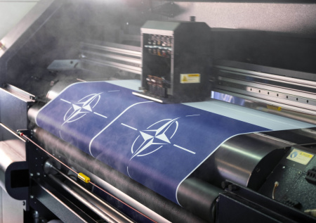 «Смертный приговор»: аналитик предрек конец НАТО из-за Гренландии