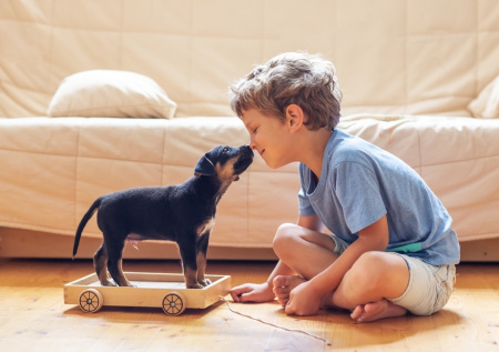 Стало известно, с какого возраста дети готовы осознанно завести питомца