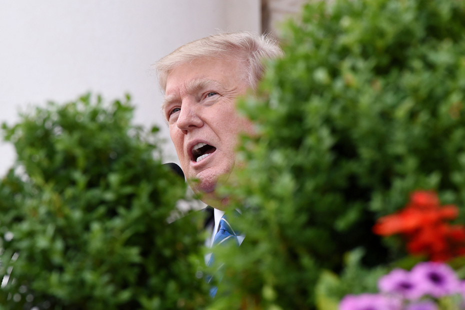 Дональд Трамп