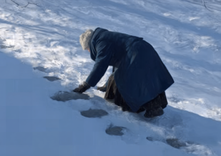 Резонансная история ползающей на четвереньках пенсионерки дошла до властей