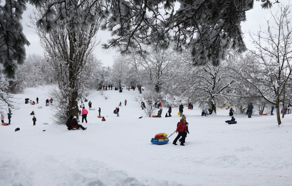 Горожане в Ботаническом саду им. И. С. Косенко в Краснодаре после снегопада