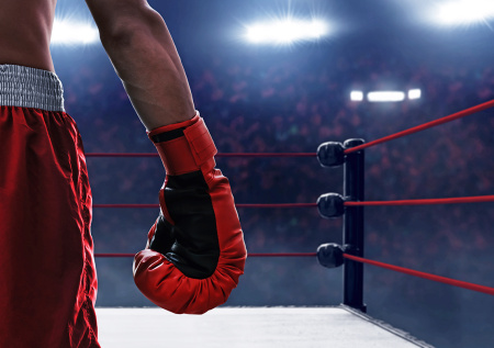 Чиновник-боксер подрался со своим заместителем-самбистом