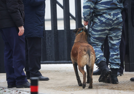 Отец пропавшего в Красноярске ребенка обратился за помощью к жителям города