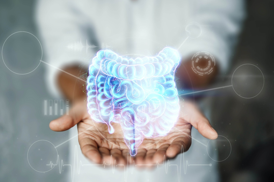 Что такое пробиотики простыми словами и в чем их польза для организма