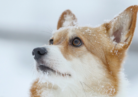 Синоптик спрогнозировала резкое изменение погоды в центральной России