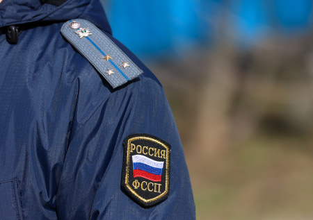 Приставы «выбили» алименты у должника в виде криптовалюты