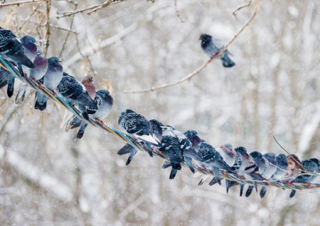 «Безопасность и здоровье»: Кравцов дал указания регионам на фоне морозов