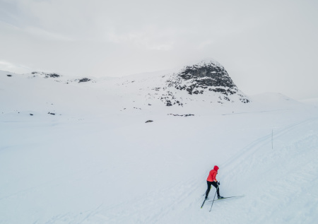 На Сахалине чудом спасли лыжника в горах