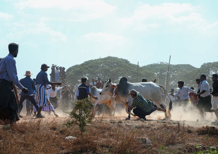 Россия оказала гуманитарную помощь переживающей голод Мьянме