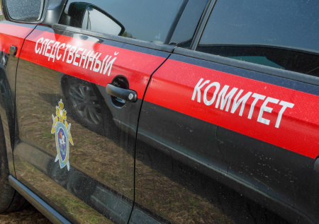 Следствие раскрыло правду об одновременной пропаже детей в Красноярске