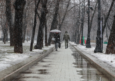 Снег с дождем и тепло до 0? Погода в Москве в начале февраля: что ждать