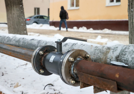 Черепах «ошпарило» кипятком в российском регионе