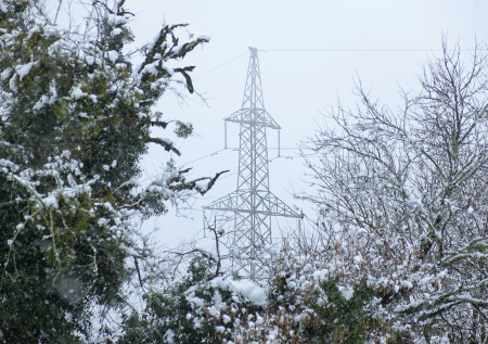 Сильнейшая снежная буря оставила сотни тысяч домов без света