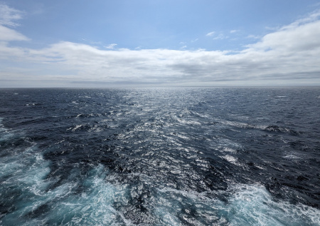 Появились подробности романа россиянки с переплывшим Атлантику американцем