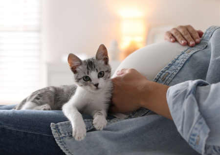 Современный тест на хромосомы для беременных стал бесплатным в России