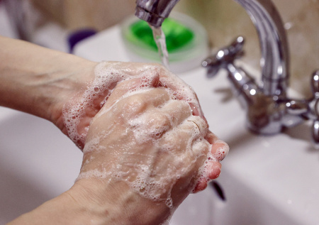 Роспотребнадзор дал советы туристам для профилактики вируса Нипах