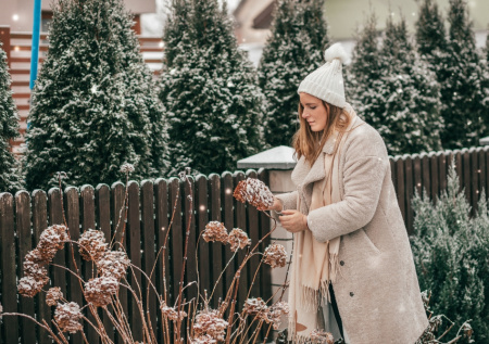 Садовод дал советы, что обязательно надо сделать на даче в период морозов