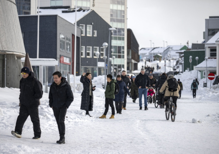 Гренландцы набивают морозилки мясом тюленей на случай конфликта с США