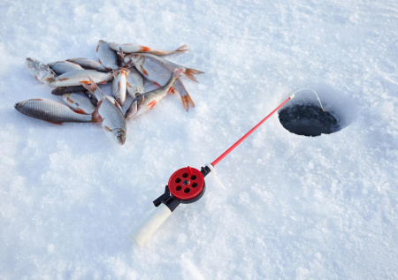 К чему снится рыбалка: удача или предупреждение?