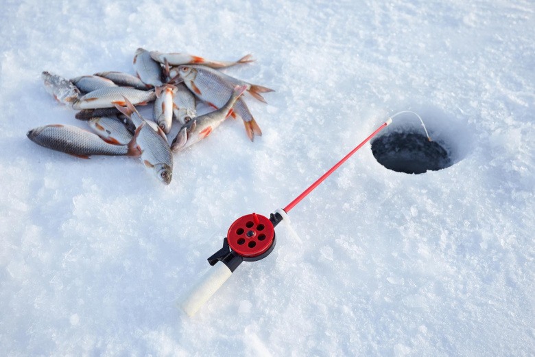 К чему снится рыбалка: удача или предупреждение?