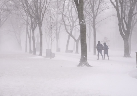 Снежная буря оставила без электричества более миллиона человек