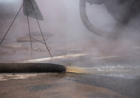 Бездомные кошки сварились заживо в приюте для животных в российском регионе