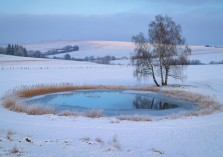 В водоемах Подмосковья замерили содержание микропластика