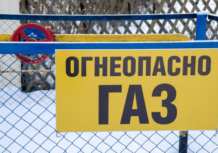 В Госдуме пригрозили ЕС последствиями за отказ от покупки российского газа