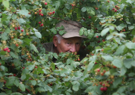 А была ли девочка: сибиряк пять лет отбивается от обвинений в педофилии