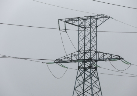 В двух городах России будет бесплатно работать общественный транспорт