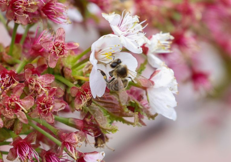 Синоптик раскрыл, когда в Москву придет весна