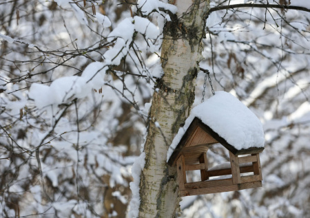 Синоптик объяснил, в каких регионах весна припозднится