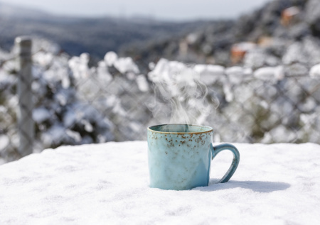 Диетолог раскрыла лучший напиток для прогулок в холода