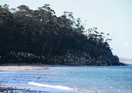 Турист наткнулся на останки пропавшей девушки