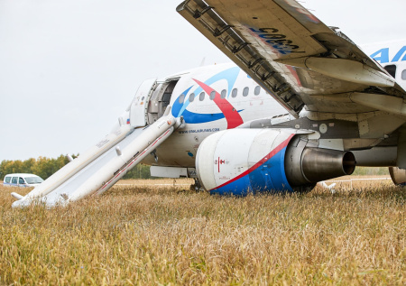 Юрист ответил, сможет ли посадивший самолет в поле пилот избежать штрафа